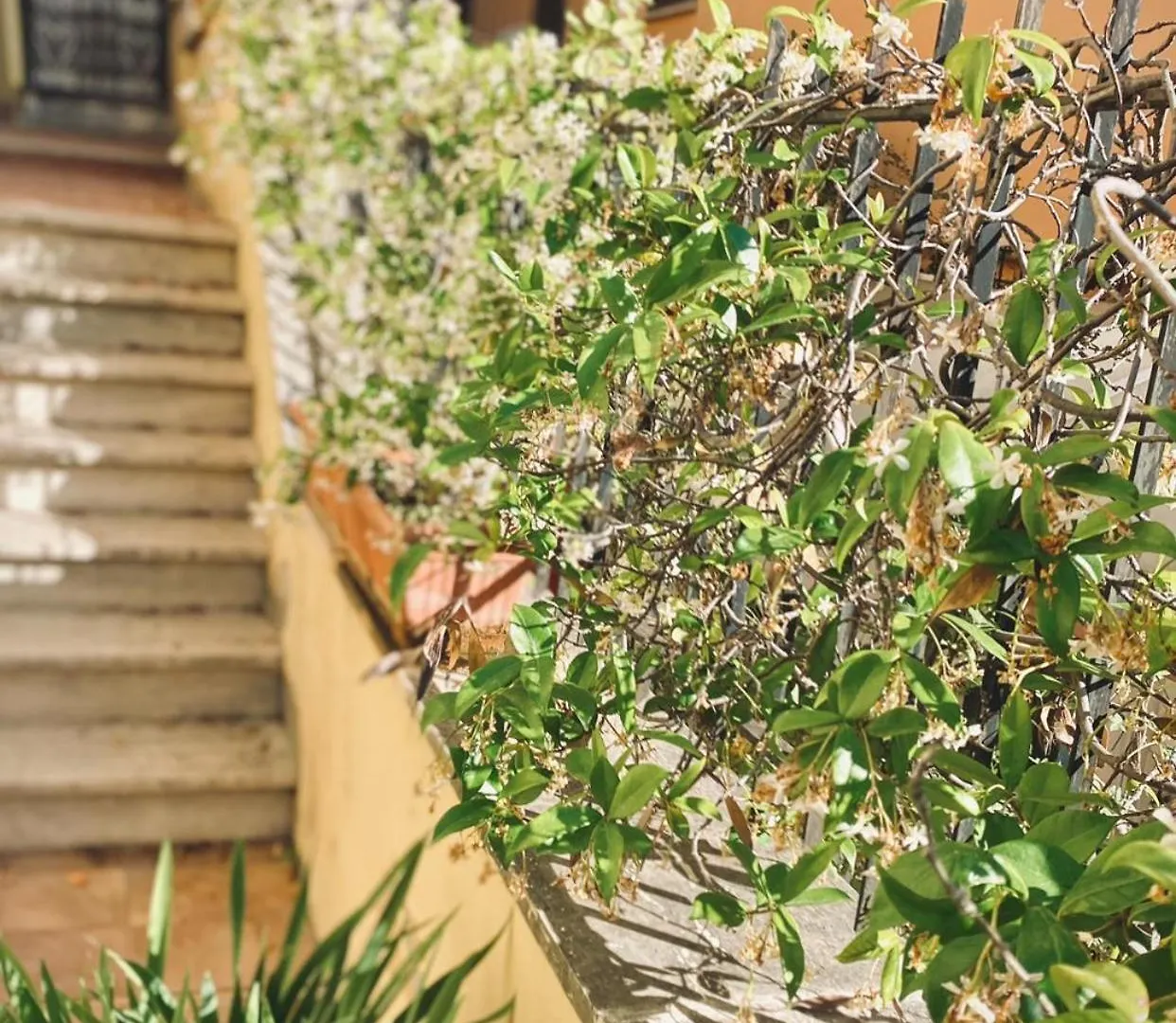 The Corner San Pietro Apartment Rome